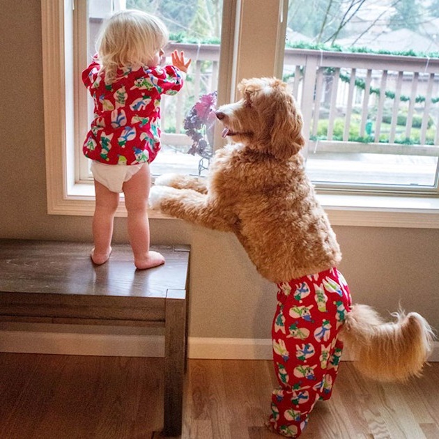 Лучшие друзья Лучшие друзья