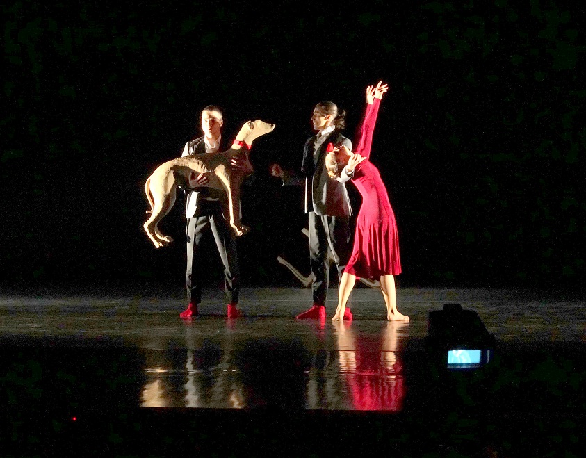 Премия имени Панфилова вручена Дмитрию Залесскому Премия Панфилова Витебск Залесский