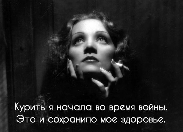 правила жизни иконы стиля Марлен Дитрих